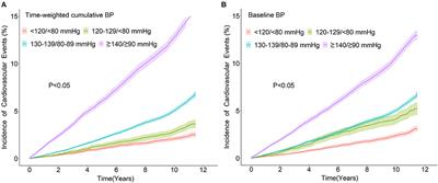 Baseline and Cumulative Blood Pressure in Predicting the Occurrence of Cardiovascular Events